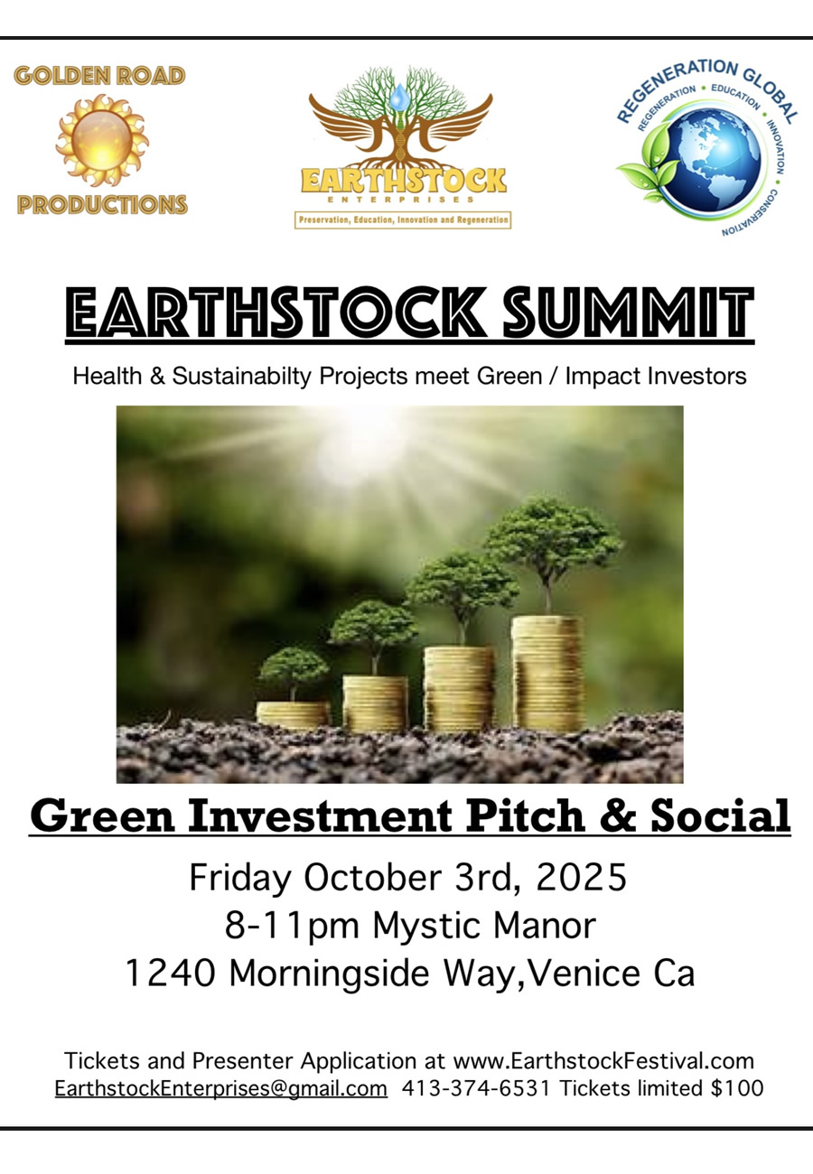 Earthstock Summit Flyer