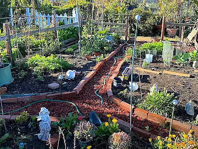 Santa Monica Community Garden